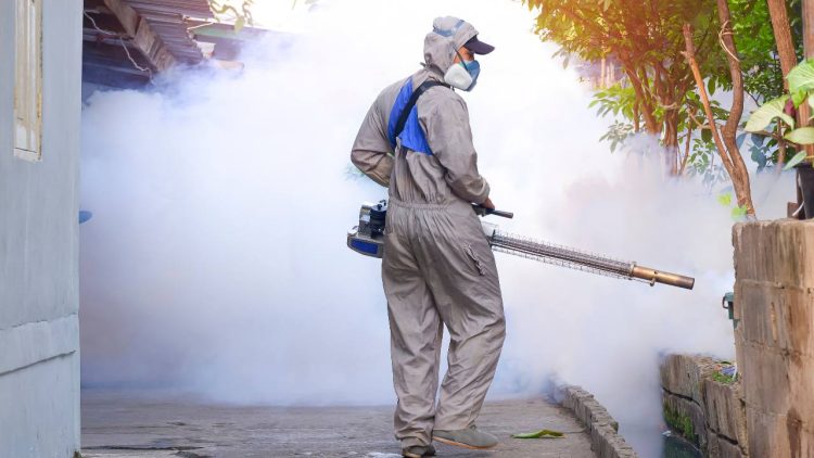 Kasus-Kematian-DBD-750x422