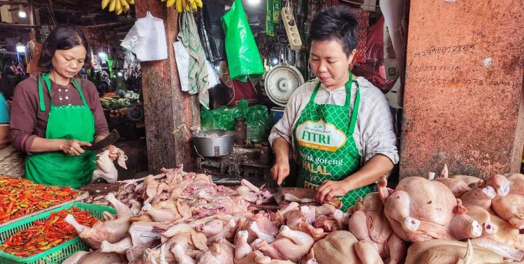 harga-daging-ayam-ras-di-riau_Anu4fEIE5a-750x378