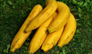 bananas-1642706_1280-1024x682