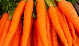 k8-GHRT9j21m2M-unsplash_11zon